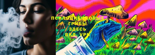 МДПВ Осинники
